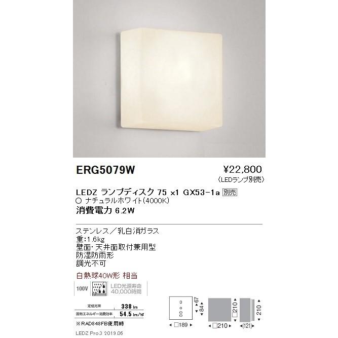 遠藤照明 アウトドアライト ブラケット 本体 Disk75 ERG5079W ※ランプ別売 グレアレスダウンライト/ベースダウンライト