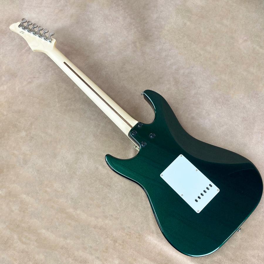 Greco（グレコ） WS-ADV-G, Dark Green : 御茶ノ水楽器センター - 通販
