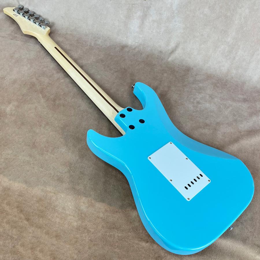Greco（グレコ） WS-ADV-G, Sky Blue : 御茶ノ水楽器センター - 通販