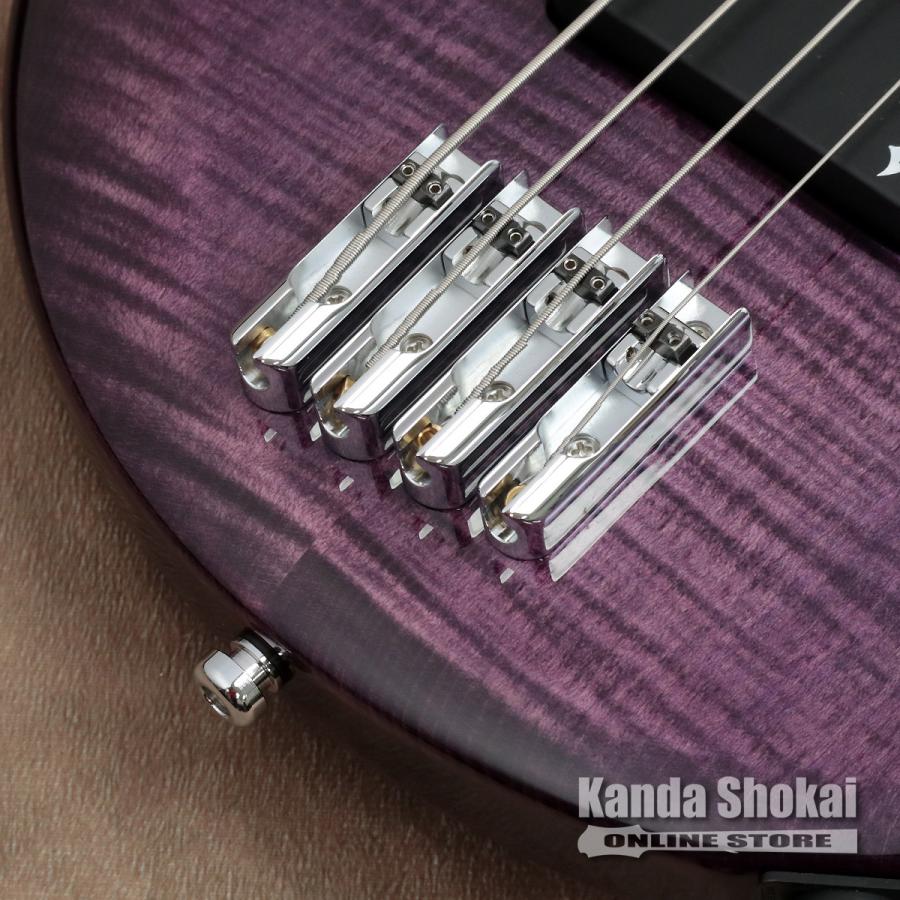 Vigier ( ヴィジェ ) Arpege 4 Strings V4ECC, Amethyst Purple [S/N