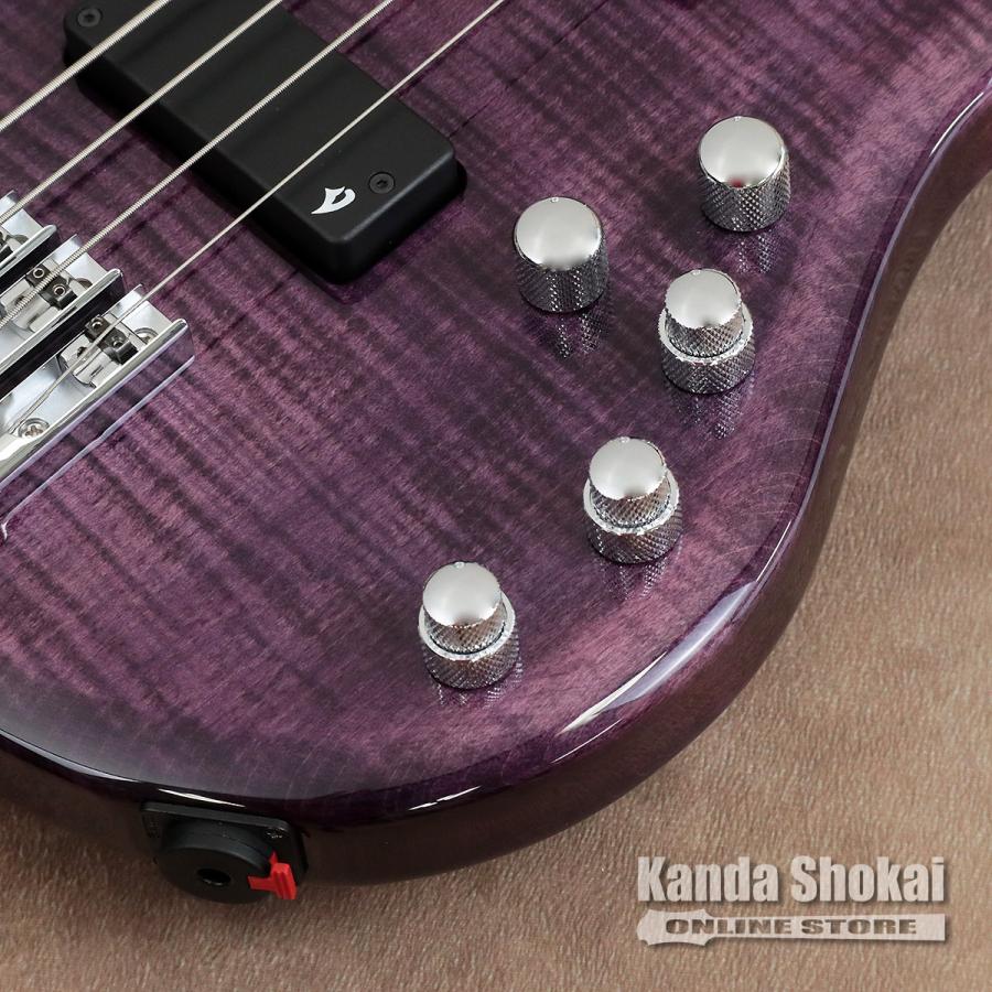 Vigier ( ヴィジェ ) Arpege 4 Strings V4ECC, Amethyst Purple