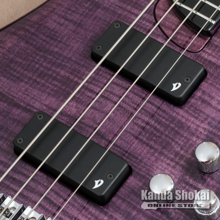 Vigier ( ヴィジェ ) Arpege 4 Strings V4ECC, Amethyst Purple [S/N