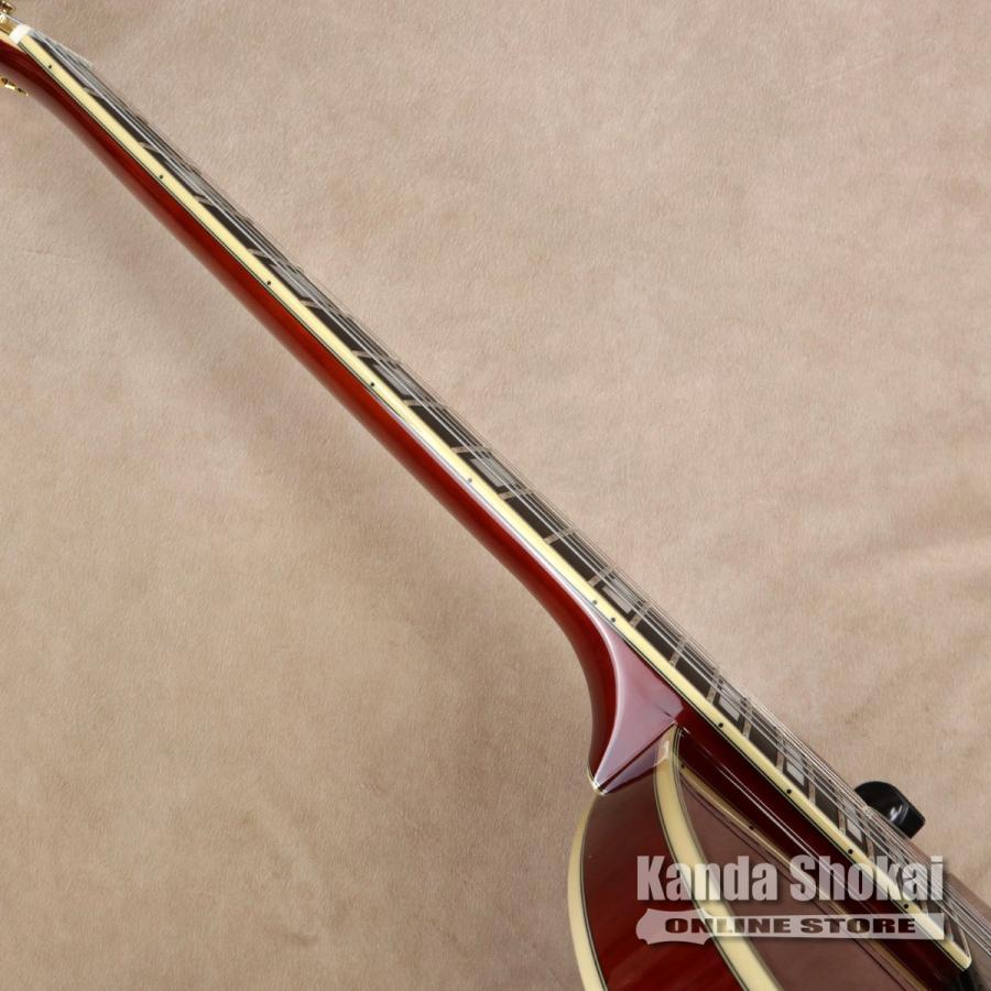 D'Angelico ( ディアンジェリコ ) エレキギター Excel 59, Viola