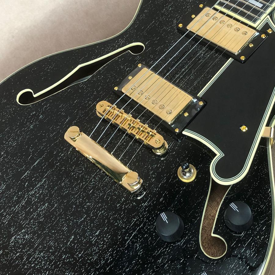 Outlet] D'Angelico ( ディアンジェリコ ) Excel Mini DC, Black Dog