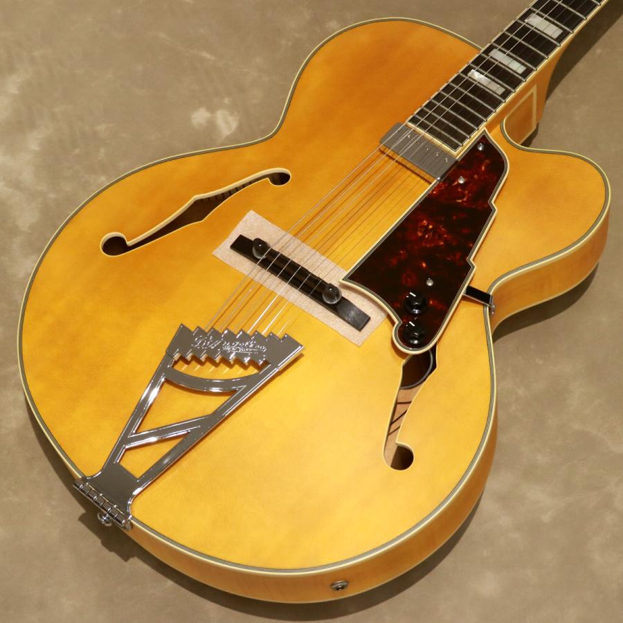 D'Angelico ( ディアンジェリコ ) エレキギター Premier EXL-1