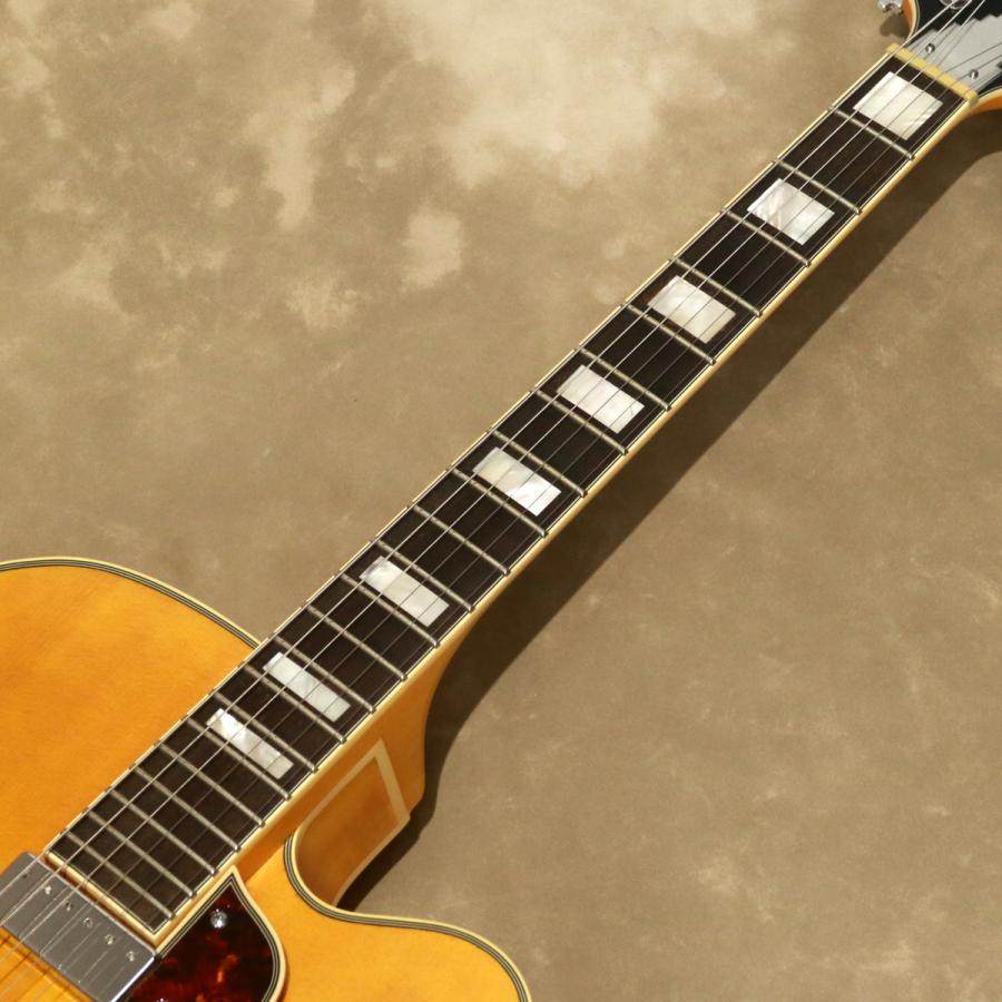 D'Angelico ( ディアンジェリコ ) エレキギター Premier EXL-1, Satin