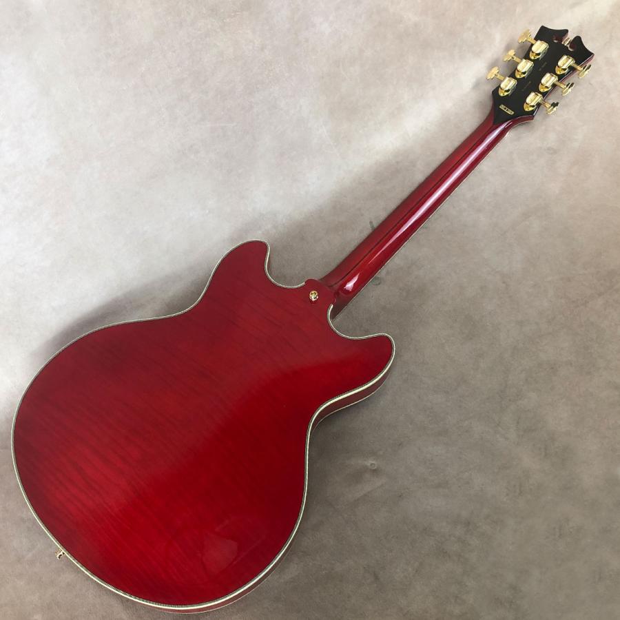 Outlet] D'Angelico ( ディアンジェリコ ) Excel DC, Trans Cherry