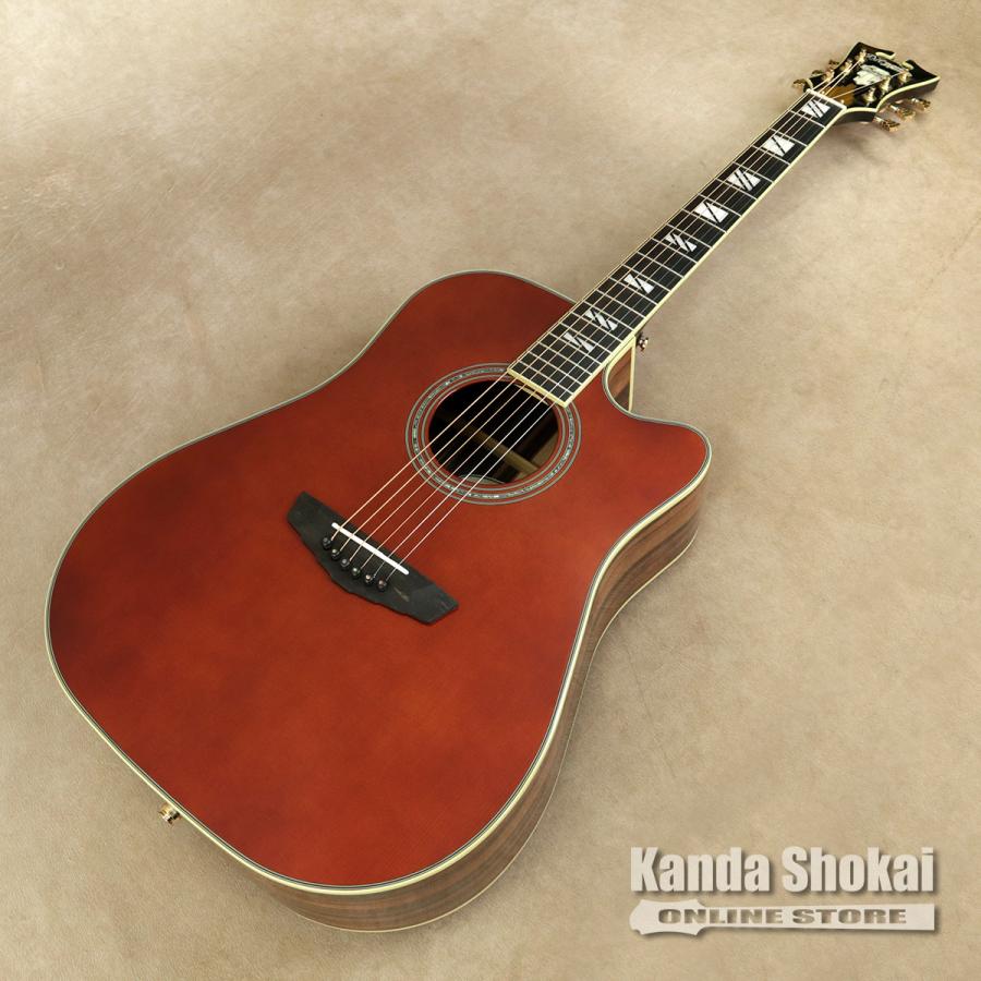 Outlet] D'Angelico ( ディアンジェリコ ) エレキギター Excel Bowery