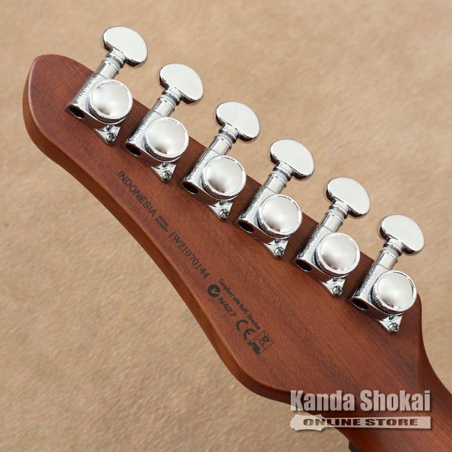 Balaguer Guitars ( バラゲール・ギターズ ) Thicket Standard， Gloss Pastel Pink_4
