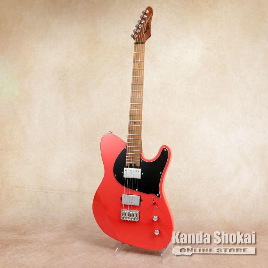 Balaguer Guitars ( バラゲール・ギターズ ) Thicket Standard, Gloss
