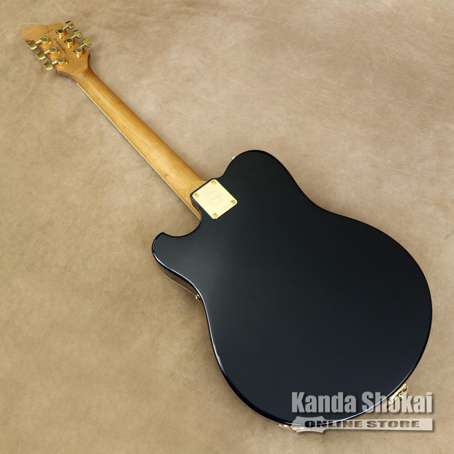 Baum Guitars Leaper Tone バウム 新品 完備品 レア 即納可能】Baum Guitars(バウムギターズ) Leaper Tone with