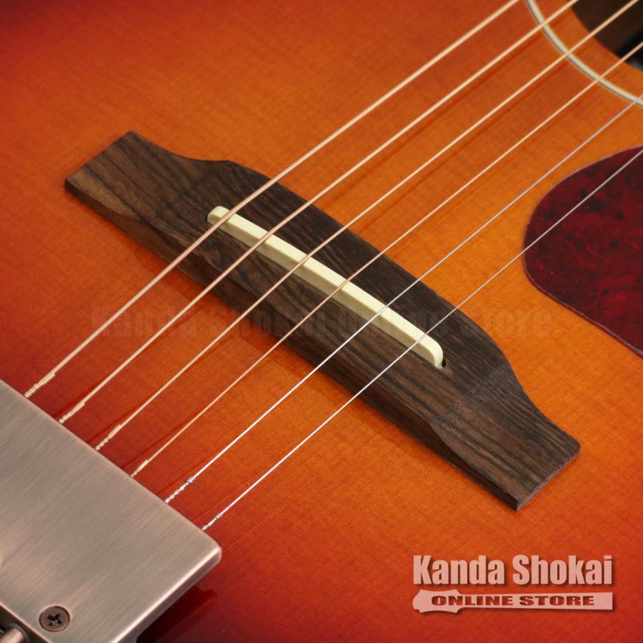 Traveler Guitar ( トラベラーギター ) Redlands Dreadnought, RD 450E