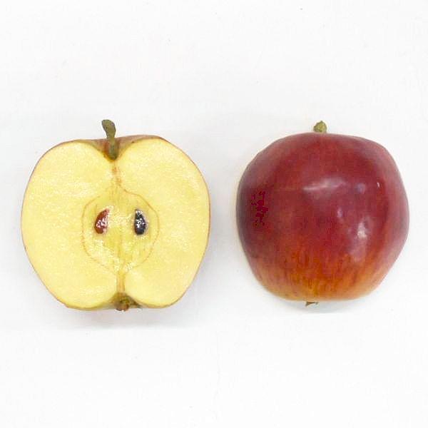 りんご^ - ^ ② 鈴木食品 / 菜果素材りんご8つ割Bx30°（月形）（2kg×8袋入