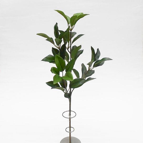 リアル シキビ/シキミ Sサイズ 48cm（造花・フェイクグリーン・造葉・人工観葉植物）（Yahoo!・フラワーデコレーションハセガワ）