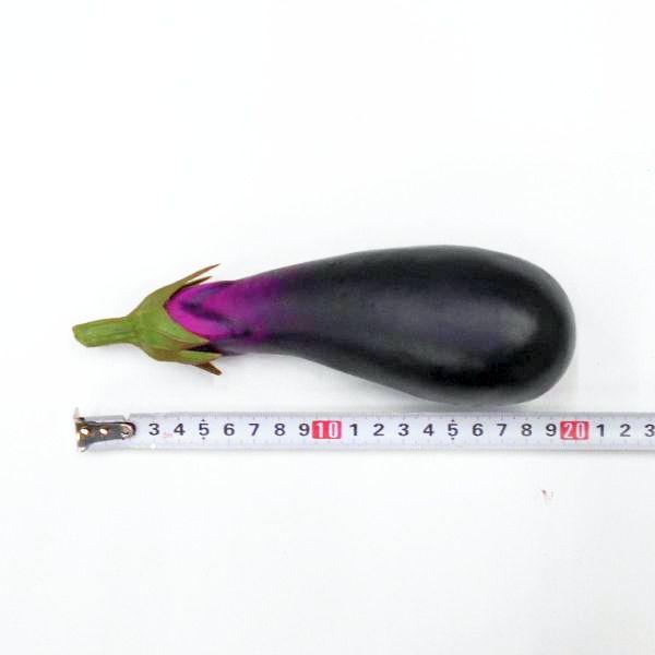 食品サンプル ナス なす 茄子（フェイクフード 野菜 造花） : フラワー