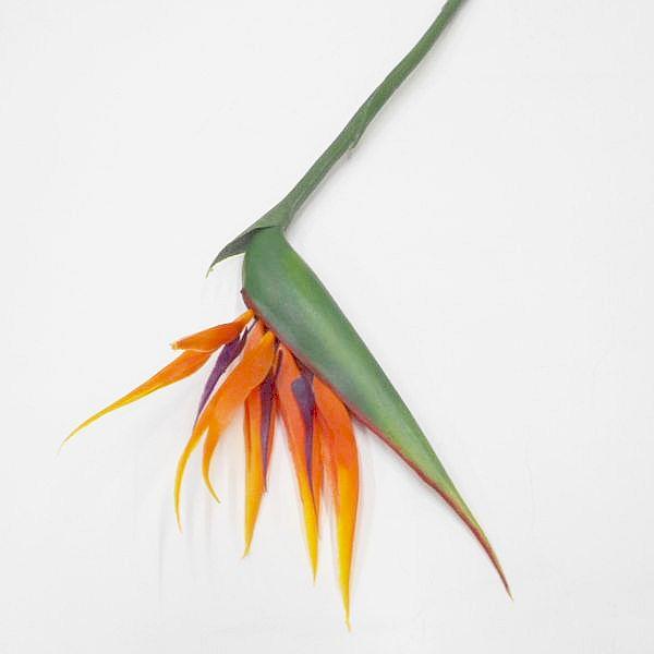 SOLD☆ステンドグラス風ハワイアンフレーム☆ストレリチア(極楽鳥花) ステンドグラス風 木製壁掛け【ストレチア】【アロハ マハロ