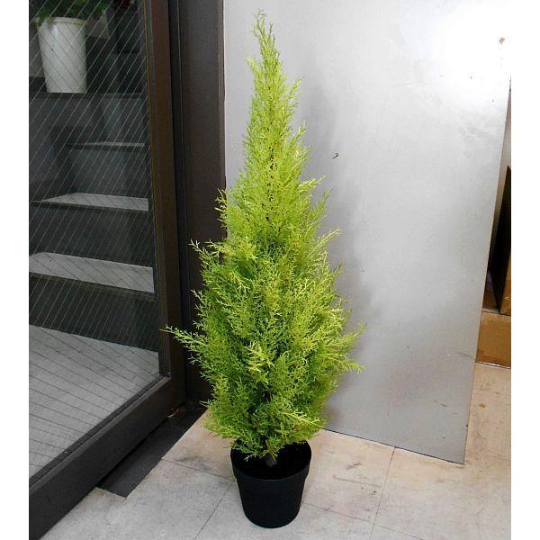 人工観葉植物 ゴールドクレスト 180cm（造花・フェイクグリーン・フェイクプラント・大きいゴールドクレスト） |  | 01