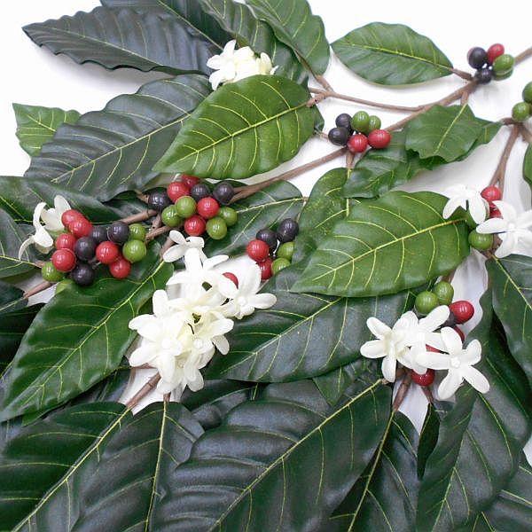 造花 コーヒーの枝 葉（フェイクグリーン・人工観葉植物） : フラワー