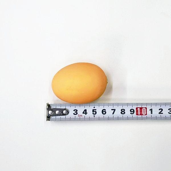 卵・玉子・タマゴ 6個セット（フェイクたまご・食品サンプル