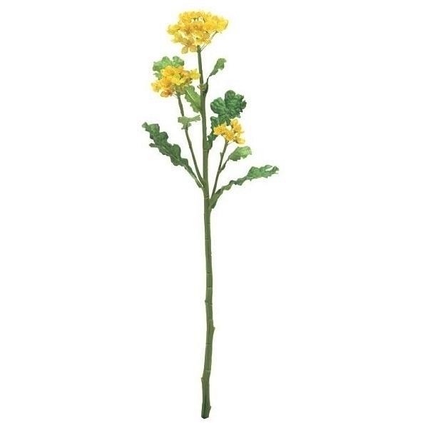 【未使用品】菜の花 なのはな 造花 50本セット (100本以上購入可♪) 楽天市場】菜の花 造花の通販