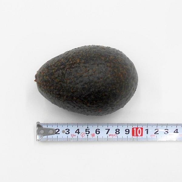 アボカド フェイクフルーツ フェイクフード 食品サンプル P4770 フラワーデコレーションハセガワ 通販 Yahoo ショッピング
