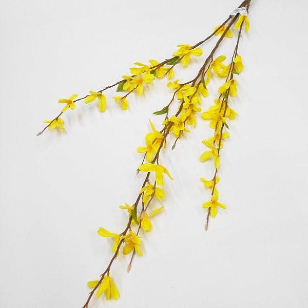 れんぎょ 452889638357499908.jpeg?x-oss-