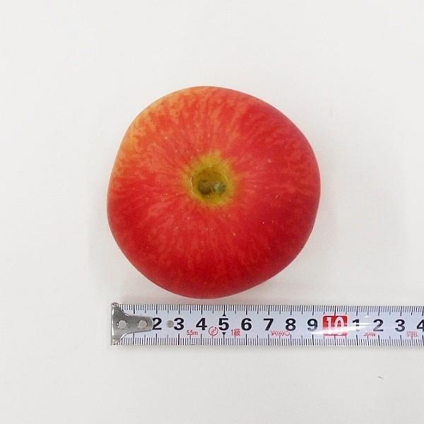 正規品直輸入】 造花 リンゴ リアルアップル フェイクフード 8.5cm（フェイクフルーツ 食品サンプル） 花束、アレンジメント 