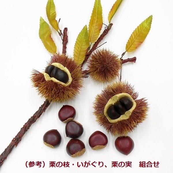 栗の枝 いが栗 2個付き クリ造花 フェイクフード T0260 フラワーデコレーションハセガワ 通販 Yahoo ショッピング
