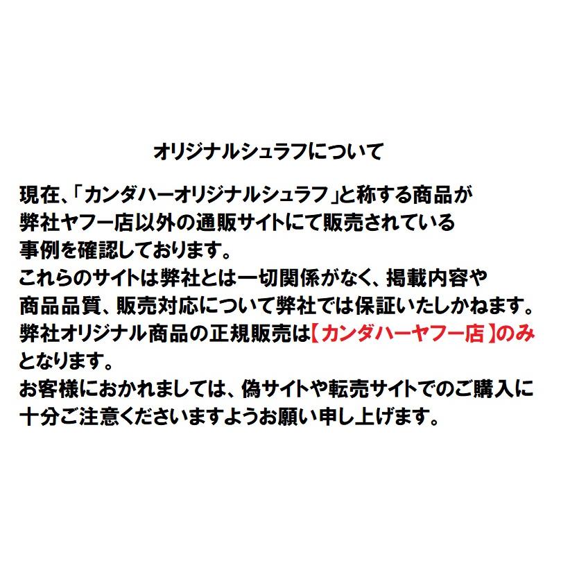 NANGA ナンガ オーロラライト センターハーフジップ UDD 350DX