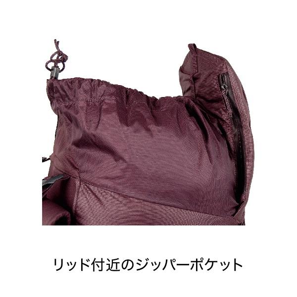 BLUE ICE（ブルーアイス） ワーソッグ 30L 登山 メンズ リュック
