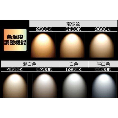 Tajima（タジマ） LEDワークライトR151 LE-R151 : かんだ! Yahoo!店