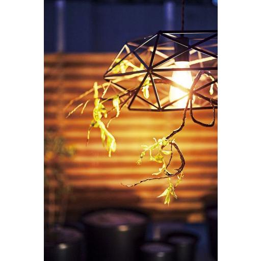 【メーカー直送】東谷 LHT-726 ライト Azumaya 東谷(あずまや) ライト ブラック LHT-726【メーカー直送品】 : かんだ