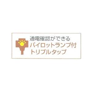 HATAYA（ハタヤ） ハタヤリミテッド マルチテモートリール 標準