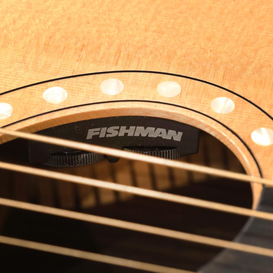 Zemaitis ゼマイティス アコースティックギター エレアコ AAS