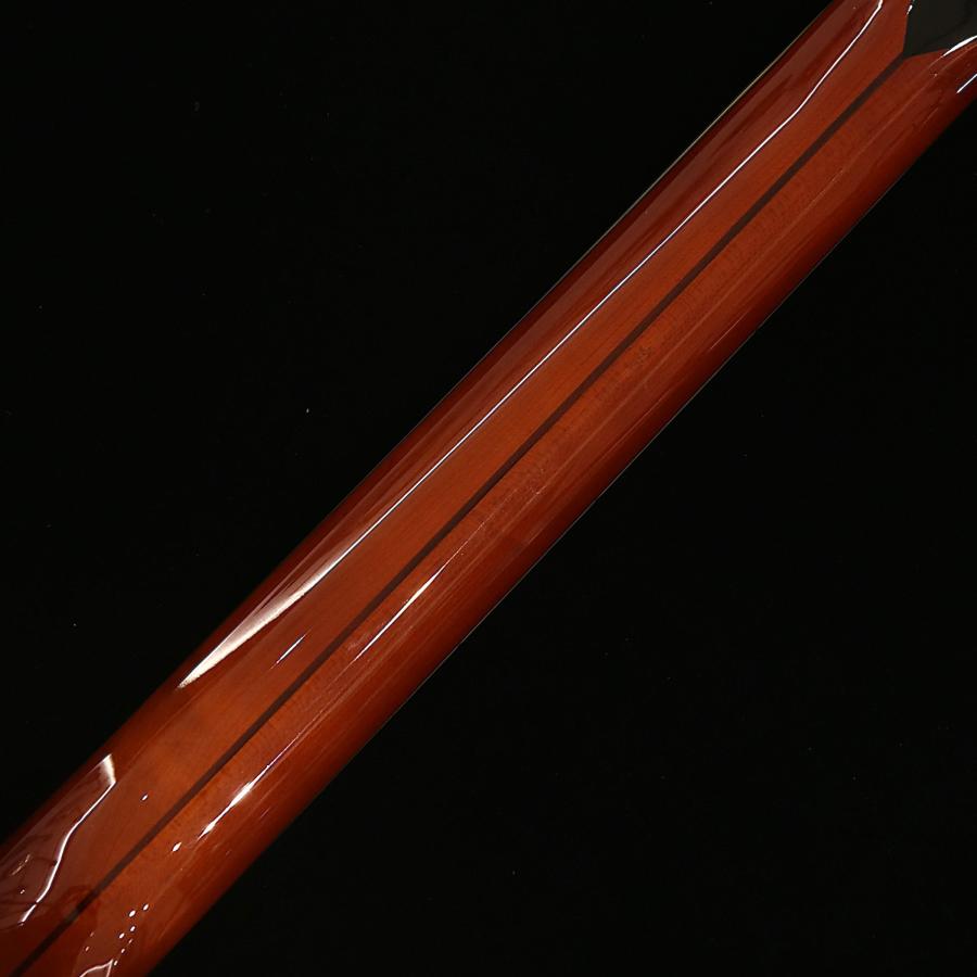 アウトレットセール D'Angelico ディアンジェリコ エレキギター フルアコ ホローボディ Excel 59, Violaの画像
