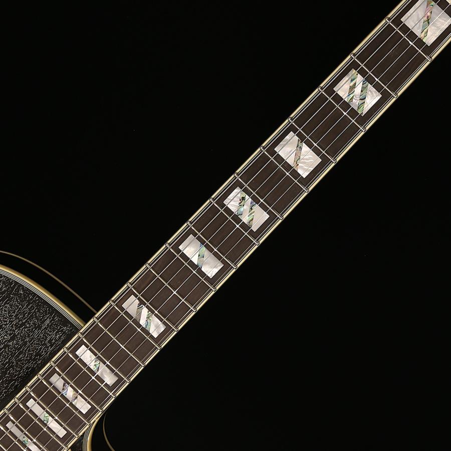 アウトレットセール D'Angelico ディアンジェリコ エレキ フルアコ Excel 59 Shield Tremolo Black Dog ダンカンPU P-90の画像