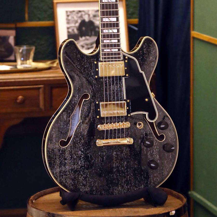 D'Angelicoディアンジェリコ Excel DC, Black Dog Excel DC Black Dog | D'Angelico | 取扱いブランド | 株式会社