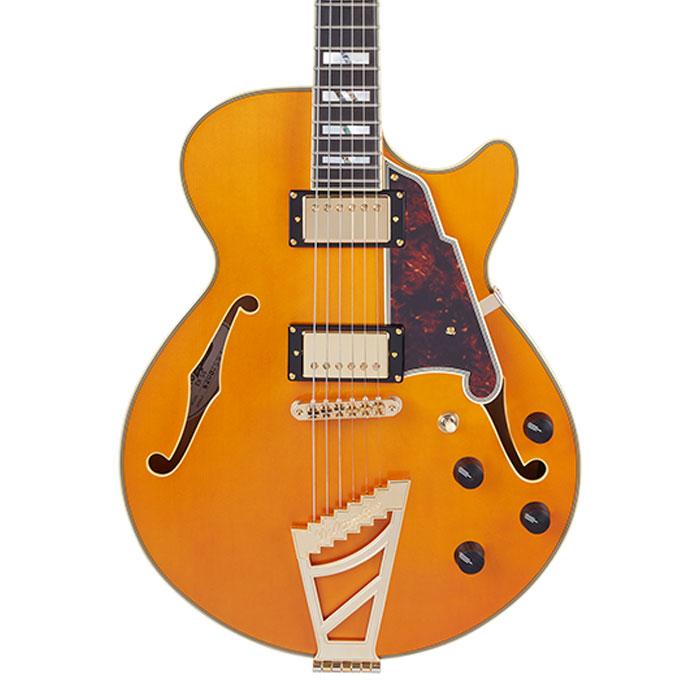 ストラッププレゼントキャンペーン D'Angelico ディアンジェリコ