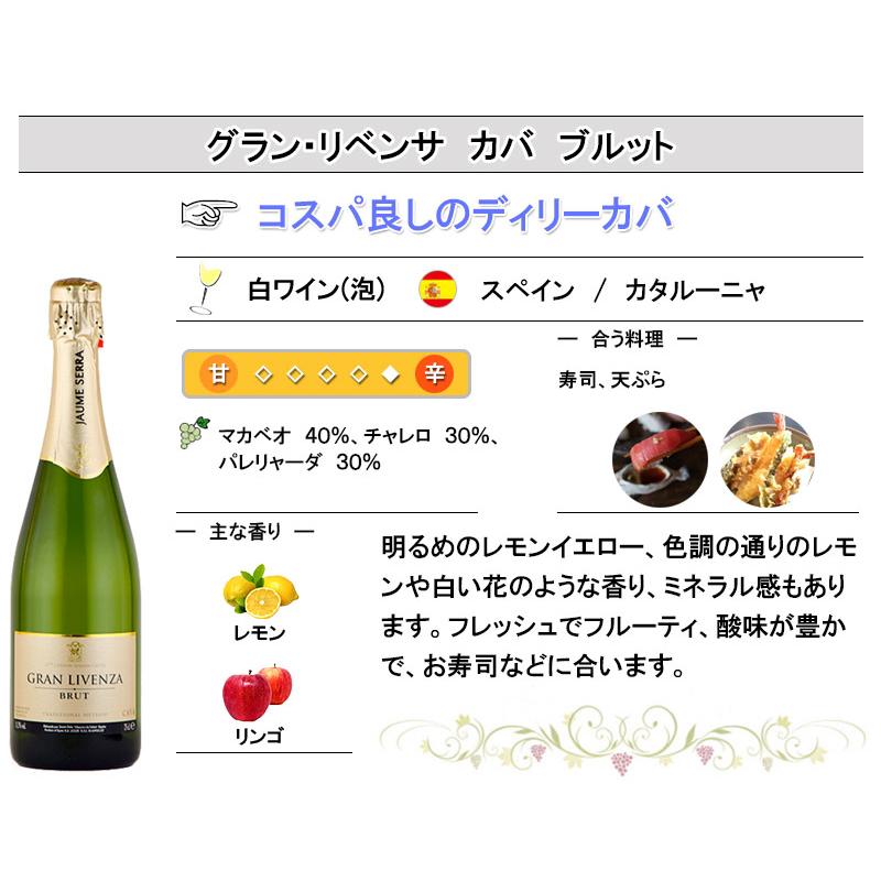 スパークリング ワイン セット 辛口 CAVA スペイン カヴァ カバ ３本 マカベオ wine set 母の日｜kandasyouten｜05