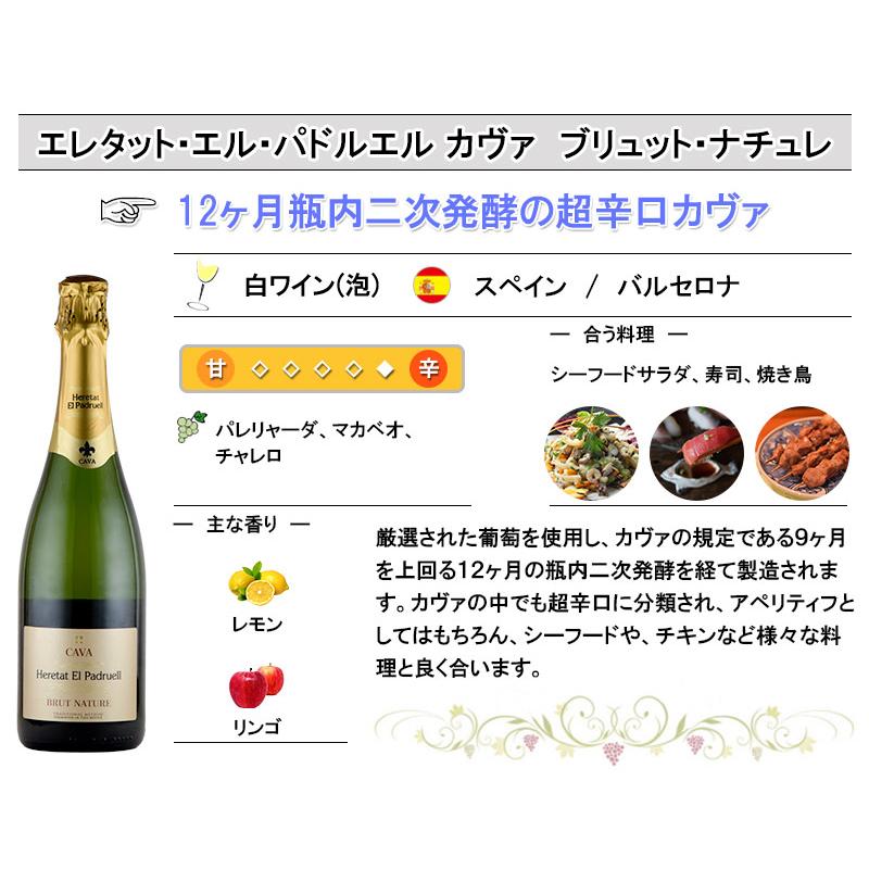 スパークリング ワイン セット 辛口 CAVA スペイン カヴァ カバ 3本