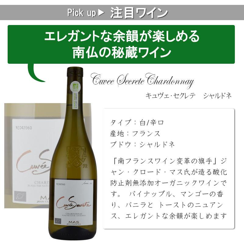 白ワインセット オーガニックワイン入り 辛口 5本 チリ スペイン