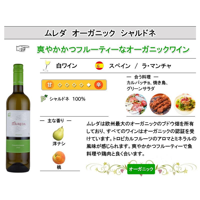 白ワインセット オーガニックワイン入り 辛口 5本 チリ スペイン