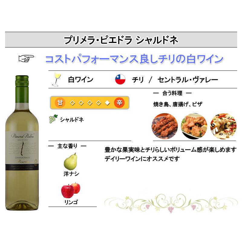 白ワインセット オーガニックワイン入り 辛口 ５本フランス イタリア チリ スペイン アルゼンチン 飲み比べ wine set 母の日｜kandasyouten｜08