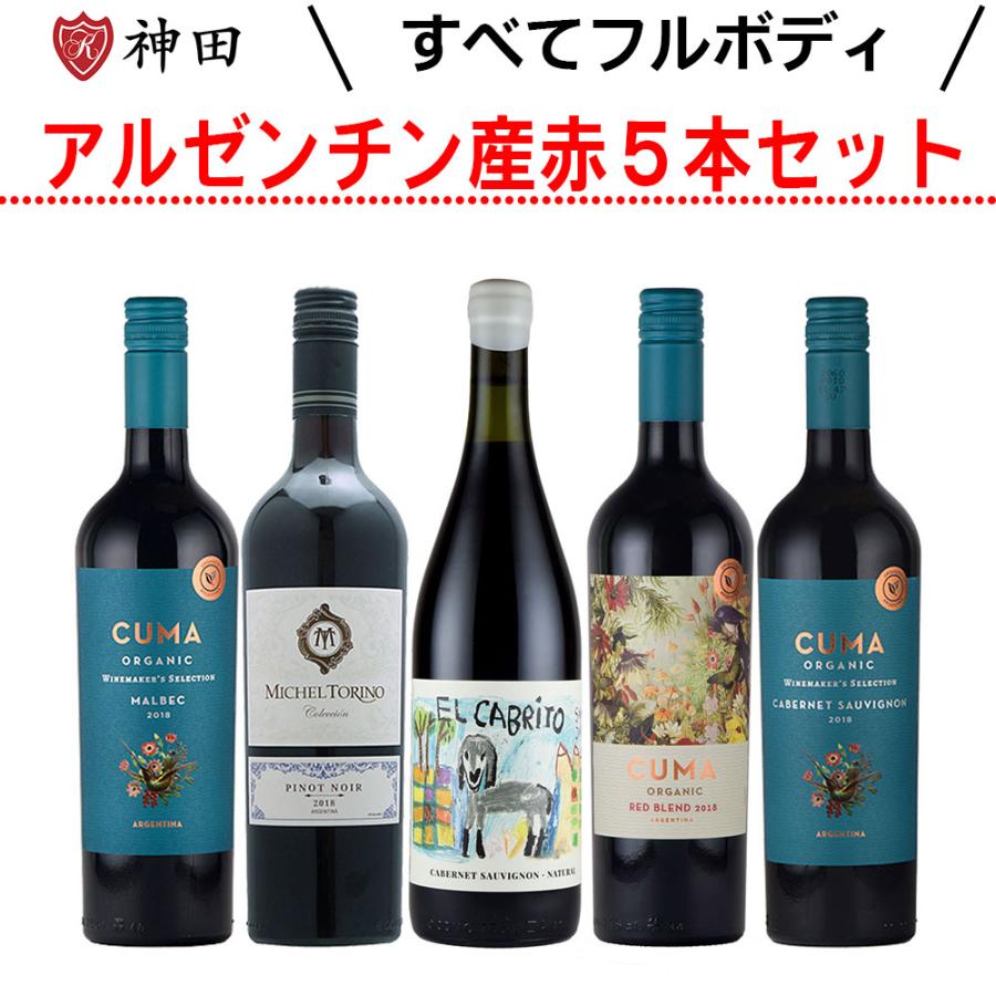 赤ワインセット フルボディ ワインセット 南米 アルゼンチンワイン 5