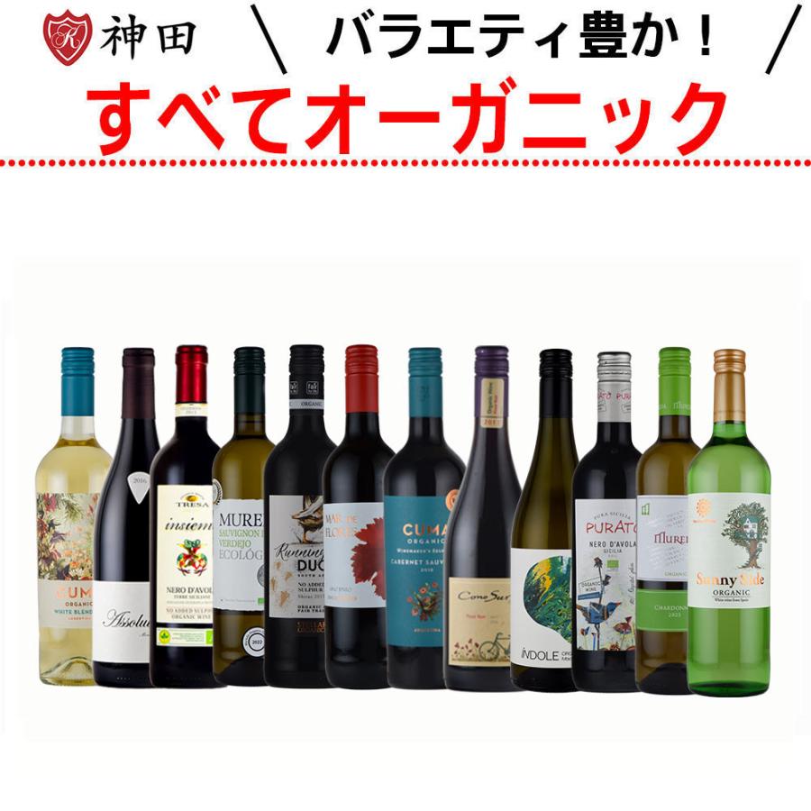 オーガニック ワイン 12本 セット wine set 父の日 : 神田商店 