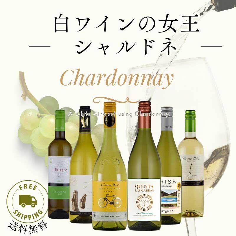 全てシャルドネを使った白ワインセット 6本 シャルドネ wine set