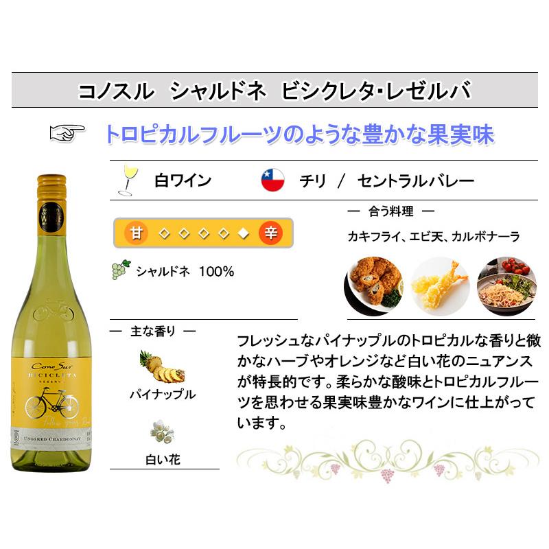 全てシャルドネを使った白ワインセット 6本 シャルドネ wine set