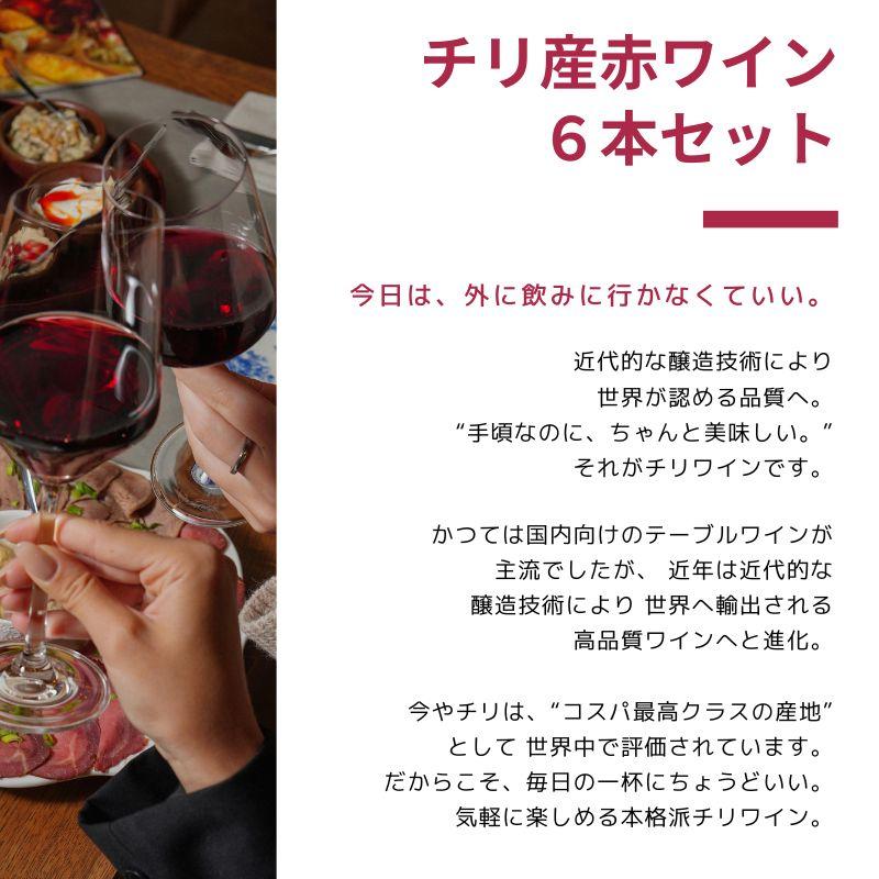 赤ワインセット チリワインセット 6本 チリワイン カベルネ