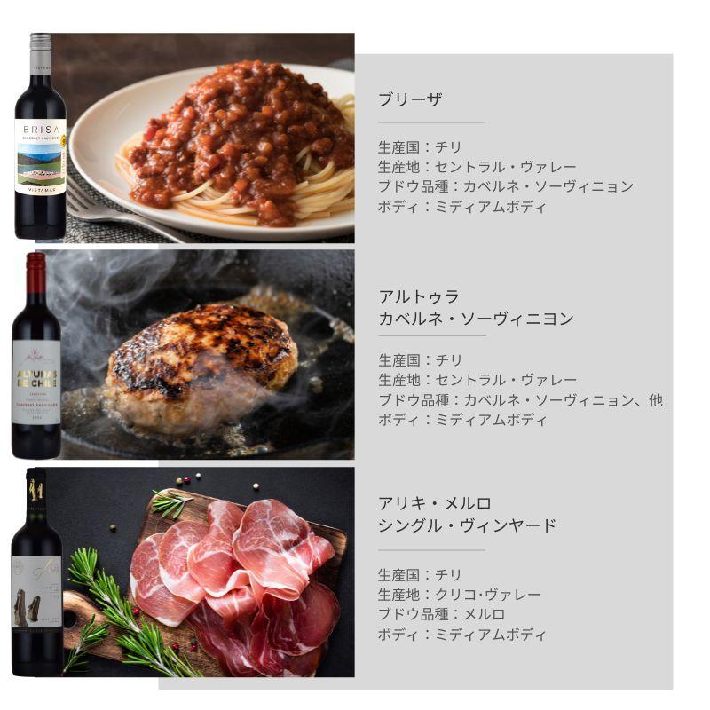 赤ワインセット チリワインセット 6本 チリワイン カベルネ