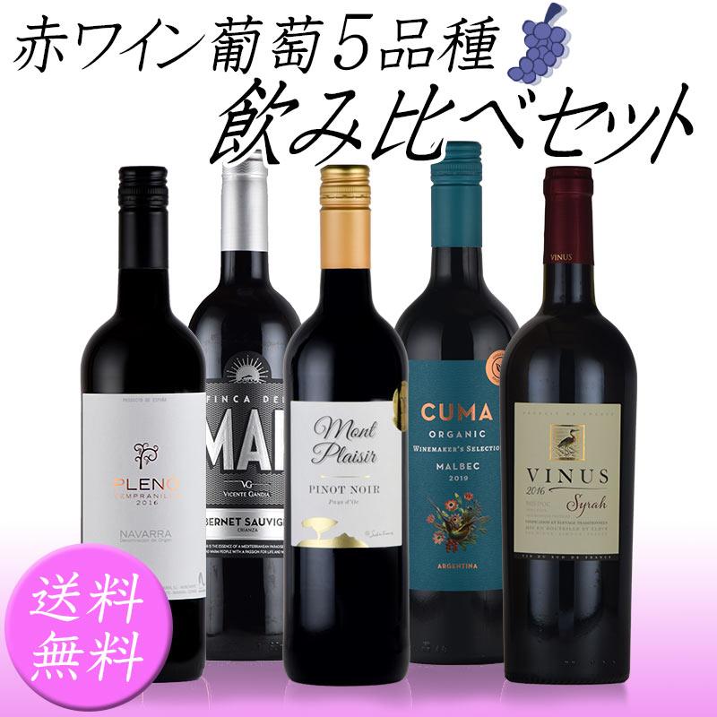 赤ワインブドウ５品種飲み比べセット フルボディ ミディアムボディ wine set 母の日｜kandasyouten｜02